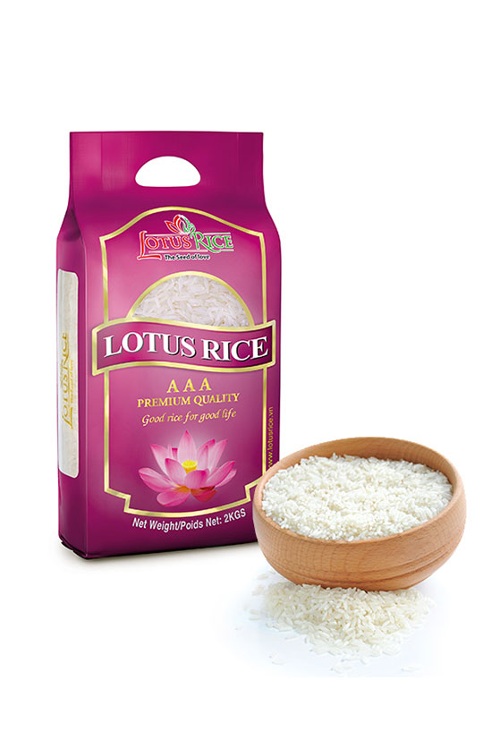lotus/